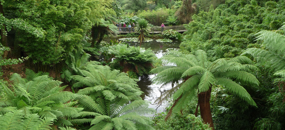 lost gardens of heligan				